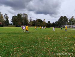 IMG_20201011_134940.jpg