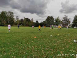 IMG_20201011_134907.jpg