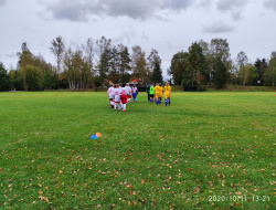 IMG_20201011_132102.jpg